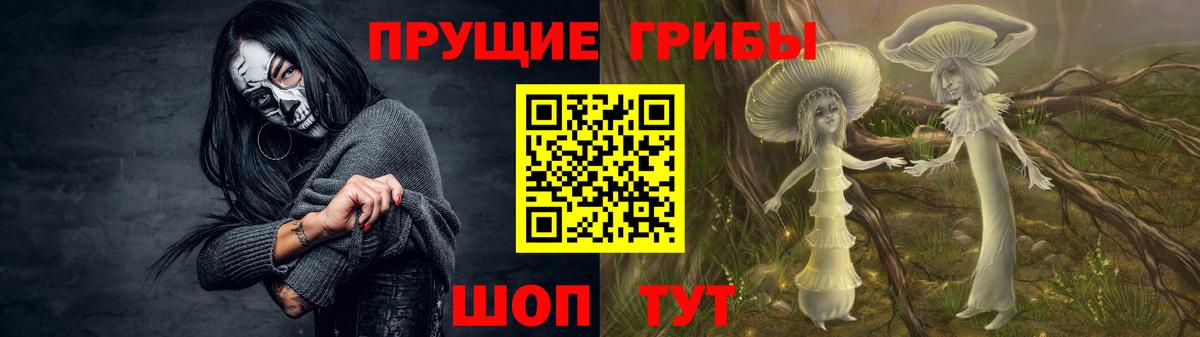 Кизляр  Псилоцибиновые грибы Psilocybe  Вход с VPN 