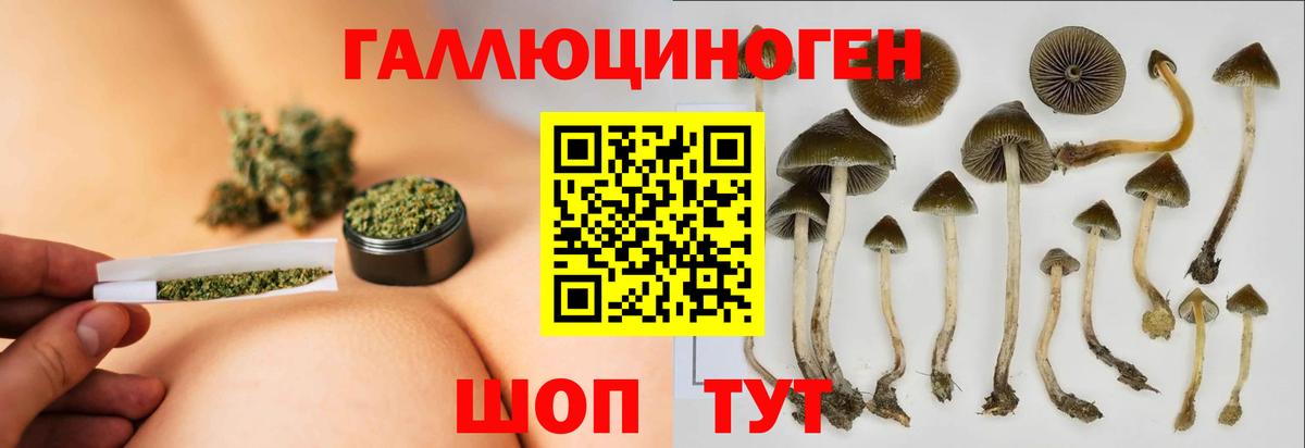 Псилоцибиновые грибы Magic Shrooms Кизляр